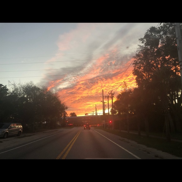 Meet your Posher, Charlia - Picture 1 of 1